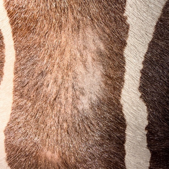 Coach Zebra Print Satchel in Brown and Black - Picture 9 of 14